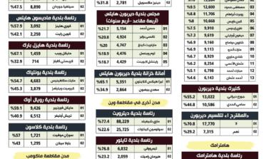 أبرز نتائج السباقات البلدية في منطقة ديترويت